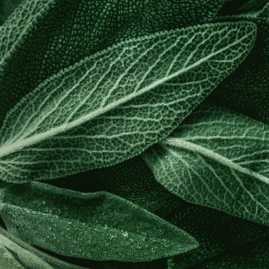 100ml. Aromatinė žvakė Šalavijas ir jūros druska