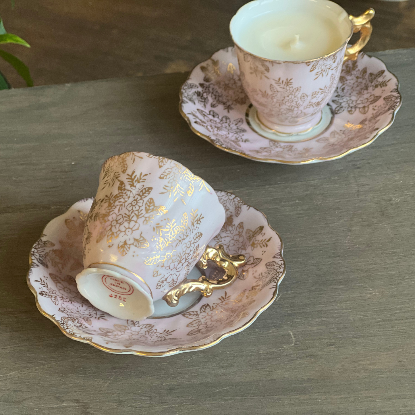 zvake-puodelyje-soju-2