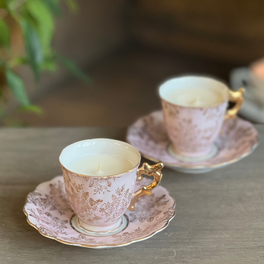 zvake-puodelyje-soju